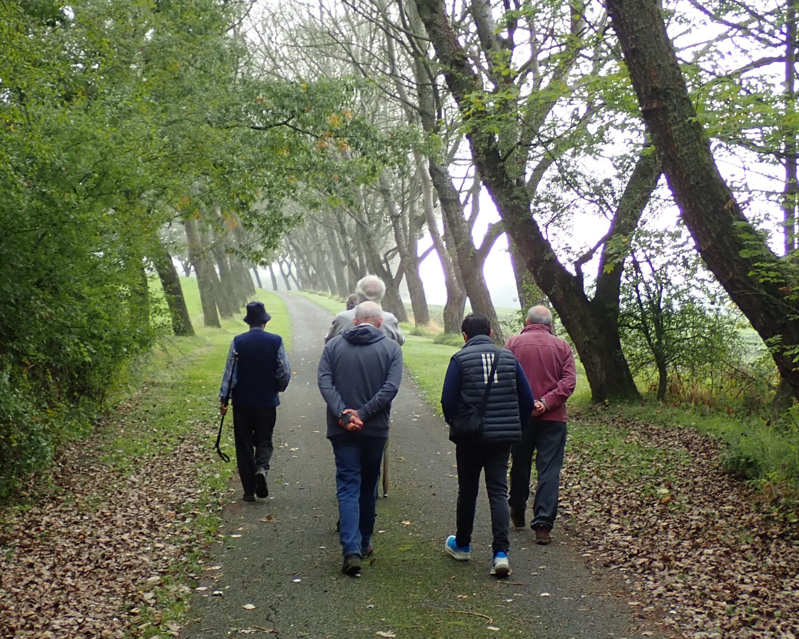 Kingston Estate, Chesterton