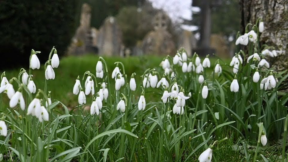 Walking around Whitnash