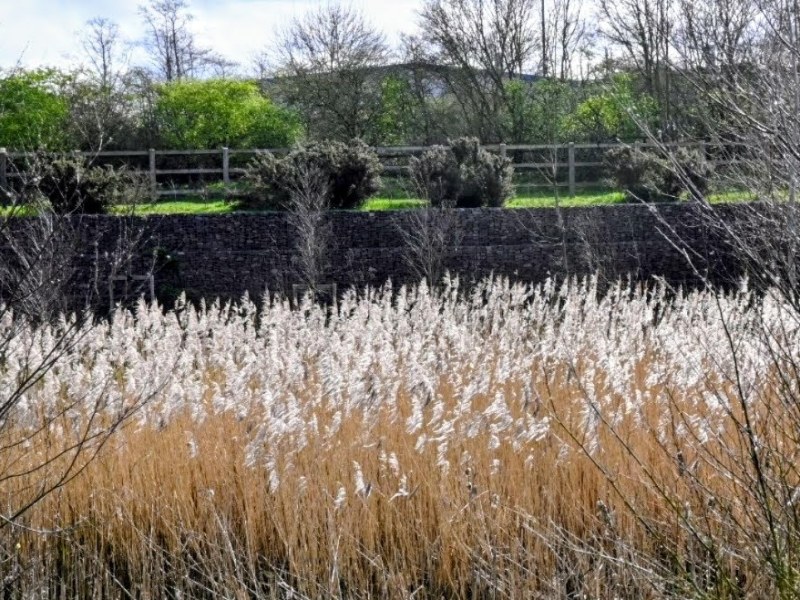 This used to be fields as far as you could&nbsp;see!